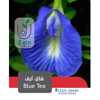 بذور شاي أزرق باكت - 5 بذرة